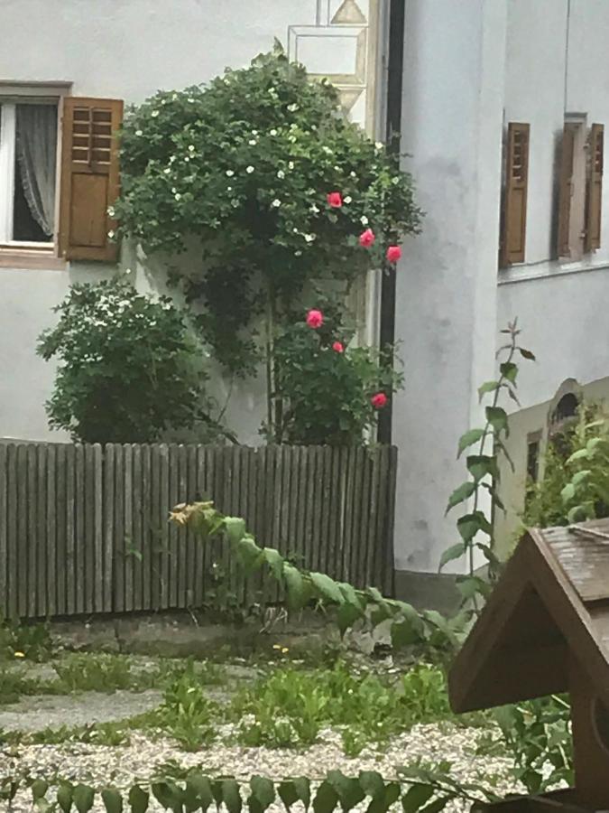 Apartament Alte Post Mit Geschichte Und Restaurant Tavanasa Zewnętrze zdjęcie