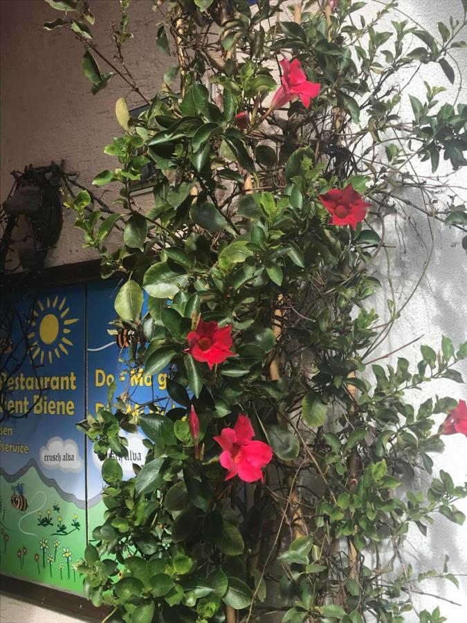 Apartament Alte Post Mit Geschichte Und Restaurant Tavanasa Zewnętrze zdjęcie